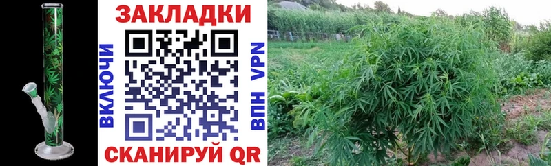 Как найти закладки Бузулук АМФ APVP omg ССЫЛКА МАРИХУАНА Мефедрон