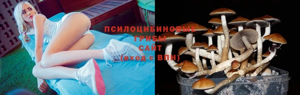 прущий лед Белокуриха