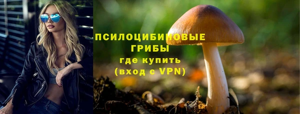 дживик Белоозёрский