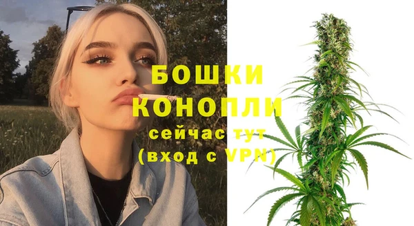 дживик Белоозёрский