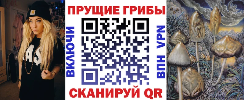 Псилоцибиновые грибы Cubensis  магазин продажи   blacksprut ТОР  Бузулук 